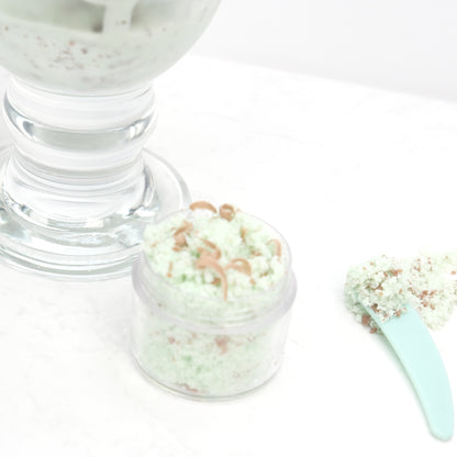 Organic Mint Chocolate Chip Lip Scrub