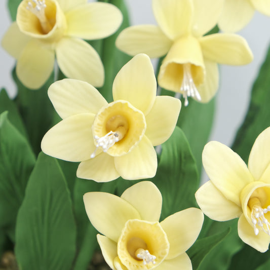 Handmade yellow Daffodils Arrangement